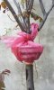 20120405_113706.jpg