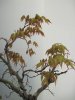 IMG_1976.jpg