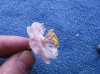 IMG_1997.jpg