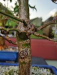 20180407_185305.jpg