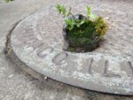 20180511_160404.jpg