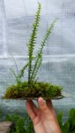 20180516_113230.jpg