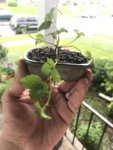 05020196-7370-42E2-818F-2DA77DDCE7DD.jpeg
