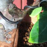 image(2).jpg image(2).jpg