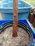 20180519_072417.jpg