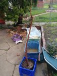 20180519_072435.jpg