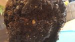 20180526_101628.jpg