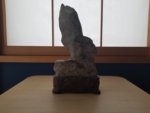 20180528_163144.jpg