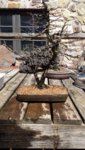 20180423_110150.jpg