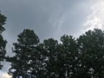 F08FBBE1-F02D-49ED-ABE2-6F7513C76CEC.jpeg
