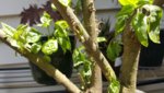 20180611_115523.jpg