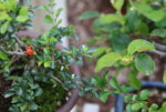0F4DCEAD-F609-4154-A19D-C1AB38FA52B4.jpeg