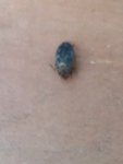 20180615_172238.jpg