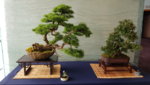 20180617_115606.jpg