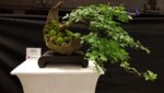 20180617_133128.jpg