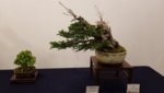 20180617_133928.jpg
