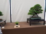 20180617_135337.jpg
