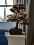 20180617_135609.jpg