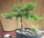 20180630_135138.jpg