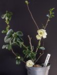 LRM_EXPORT_20180708_131245-768x1024.jpg