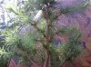 120504_0003.jpg