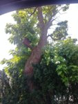 20180710_114312_HDR.jpg