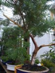 20180716_072937.jpg