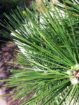 20180728_092408.jpg