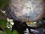 20180804_130727_Burst01.jpg
