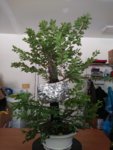 20180804_125927.jpg