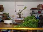 20180804_141215.jpg