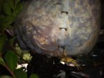 20180804_130731.jpg 20180804_130731.jpg