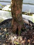 20180805_152650.jpg