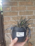 20180812_164355.jpg