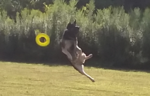 20180818_065713.png