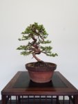20180816_165310.jpg