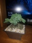 20180902_091834.jpg