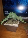 20180902_091858.jpg 20180902_091858.jpg