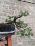 20180903_160336.jpg