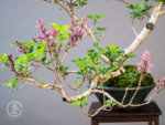 WEB_TBS_SPRING2018-0156-.jpg