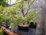 20180911_135350.jpg