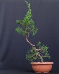 itoigawa shohin 1 2018 2.jpg