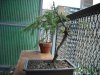 DSCF1283.jpg