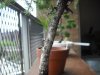 DSCF1289.jpg