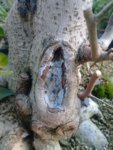 20180927_075335.jpg