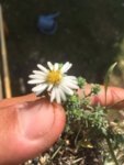 7D129891-4209-45AD-B72A-07A26DE86347.jpeg