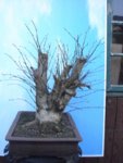 2010-02-1cw.jpg