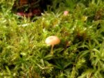 IMG_20181030_115200984.jpg