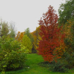 fall007.jpg fall007.jpg
