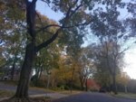 20181103_154956.jpg